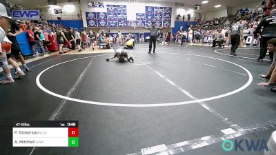 47-51 lbs Rr Rnd 4 - Preslie Dickerson, Blue Devil Wrestling vs Azayla Mitchell, El Reno Wrestling Club