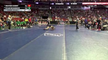 3A-132 lbs Champ. Round 1 - Brayden Sundby, Pella vs Rylan Richardson, Storm Lake