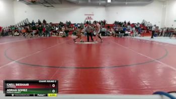 138 lbs Champ. Round 2 - Adrian Gomez, Pueblo County vs Caell Bieshaar, Lutheran