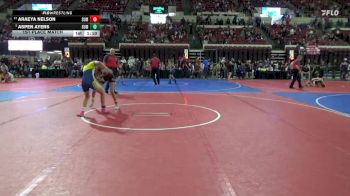 116 lbs 1st Place Match - Aspen Ayers, Deerlodge vs Araeya Nelson, Team Champs
