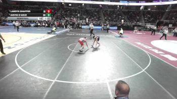 II-138 lbs Semifinal - Landyn Shaffer, Deposit/Hancock vs Justin D`Arce, Center Moriches