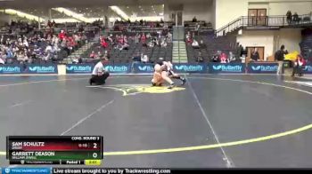149 lbs Cons. Round 3 - Garrett Deason, William Jewell vs Sam Schultz, Drury