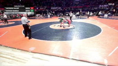 2A 132 lbs Cons. Round 3 - Nathan Randle, Crystal Lake (South) vs Jackson Palzet, Deerfield (H.S.)