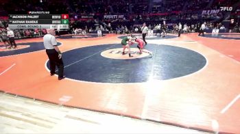 2A 132 lbs Cons. Round 3 - Nathan Randle, Crystal Lake (South) vs Jackson Palzet, Deerfield (H.S.)