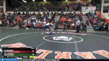 160 lbs Champ. Round 1 - Bo Dowell, Wheaton (NORTH) vs Cj Gilbert, Hoffman Estates (CONANT)