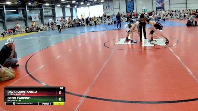 88 lbs Rd# 4- 2:00pm Friday Final Pool - David Quintanilla, Florida Elite vs Geno Carpino, PA Silver