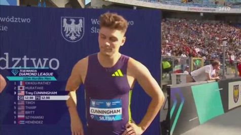 2026 Wanda Diamond League: Silesia (POL) - Professional Men's 110m Hurdles Diamond League Final