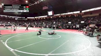 108 lbs Quarterfinal - Dominic Jacobucci, LAC3 vs Channing Peterson, DWA