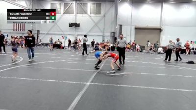 60-64 lbs 3rd Place Match - Ethan Cross, New England Gold vs Logan Palermo, New England Gold