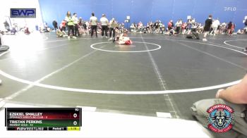 92 lbs Semis (4 Team) - Ezekiel Smalley, OpenMats Wrestling Club vs Tristan Perkins, Midwest Gold