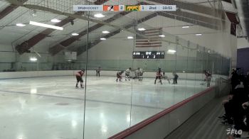 Replay: Home - 2025 Spacemen vs CHI Cougars | Jan 12 @ 7 PM