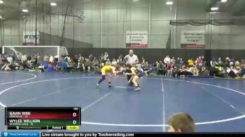 110 lbs Round 5 (6 Team) - Wylee Willson, Wyoming Gold vs Gavin Wiig, Iowa Blue
