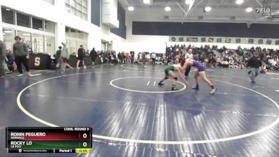 144 lbs Cons. Round 3 - Ronin Peguero, Norwalk vs Rocky Lo, LB Poly