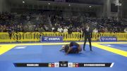 Seth Francis Robertson vs Vukasin Jaric 2025 Pan IBJJF Jiu-Jitsu No-Gi Championship
