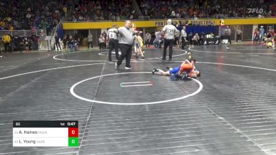 60 lbs Round Of 64 - Alex Haines, Mountain View vs Lucas Young, Harbor Creek