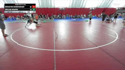 132 lbs Champ Round 1 (16 Team) - DeWayne Borntreger, Weyauwega-Fremont vs Declan Shapin, Glenbrook South