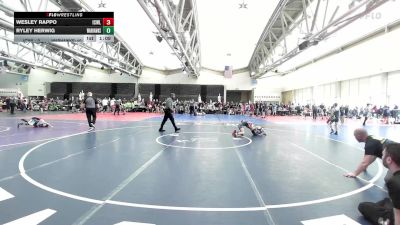 65 lbs Rr Rnd 6 - Wesley Rappo, ICWL Bruisers Elite vs Ryley Herwig, Warhawks Wrestling Inc. ES