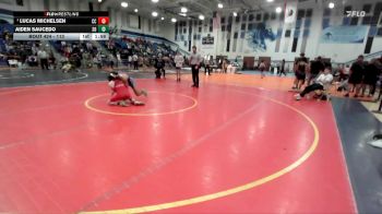 113 lbs Quarterfinal - Lucas Michelsen, Cathedral Catholic vs Aiden Saucedo, San Diego