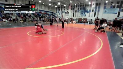 113 lbs Quarterfinal - Lucas Michelsen, Cathedral Catholic vs Aiden Saucedo, San Diego