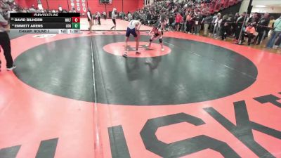 132 lbs Champ. Round 1 - Emmett Arens, Hoffman Estates (CONANT) vs David Bilhorn, MILTON (WI)