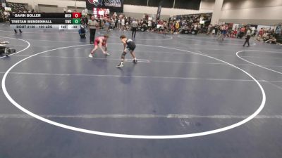 100 lbs Cons. Sub-quarters - Gavin Boller, Michigan vs Tristan Mendenhall, Team Idaho Wrestling Club