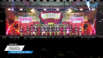 Fierce Idaho - Cheetahs [2025 L4 Senior Coed - Medium Day 2] 2025 Spirit Sports Grand Nationals