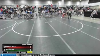 113 lbs Champ. Round 1 - Maxwell Beck, OH vs Blake Irvine, IA