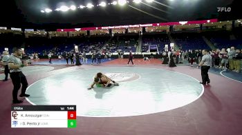 175 lbs Semifinal - Kian Amouzgar, Concord-Carlisle vs David Pento Jr, Londonderry