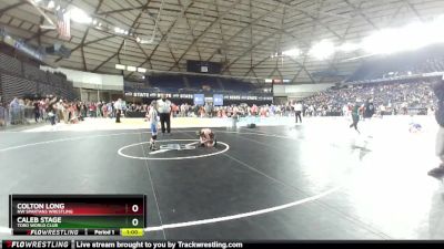 84 lbs Cons. Round 3 - Caleb Stage, Toro World Club vs Colton Long, NW Spartans Wrestling