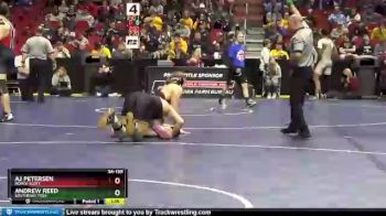 3A-195 lbs 3rd Place Match - AJ Petersen, North Scott vs Andrew Reed, Southeast Polk