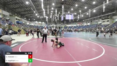 86 lbs Quarterfinal - Cameron Hoezee, Salem Elite vs Ethan Ingelhart, High Kaliber