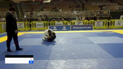 BRUNO MARLLON COSTA vs BREECE D TYLER 2022 Pan Jiu Jitsu IBJJF Championship