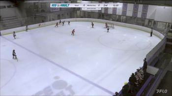 Replay: Home - 2024 LV Steel U8 vs Wolverines U8 | Feb 18 @ 10 AM