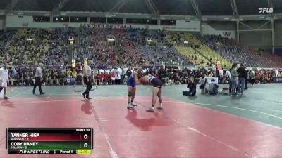 133 lbs Finals (8 Team) - Tanner Higa, Dubuque vs Coby Haney, Millikin