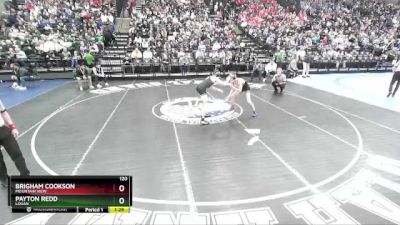 120 lbs Semifinal - Payton Redd, Logan vs Brigham Cookson, Mountain View