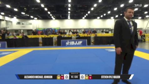 Steven Kyle Mason vs Alexander Michael Johnson 2025 World IBJJF Jiu-Jitsu No-Gi Championship