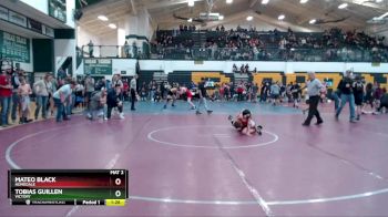 95 lbs Semifinal - Mateo Black, Homedale vs Tobias Guillen, Victory