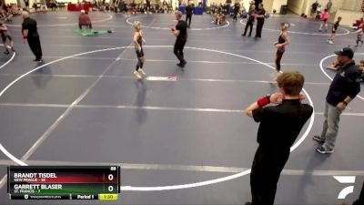 88 lbs Round 1 (6 Team) - Garrett Blaser, St. Francis vs Brandt Tisdel, New Prague