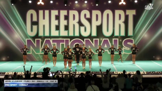 Pro Spirit - Cobalt [2026 L4 Junior - Flex - D2 - Small - A Day 2] 2026 ...