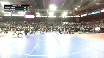 140 lbs Cons. Round 5 - Bianca Cluff, Wasatch vs Amarie Medina, Hillsboro