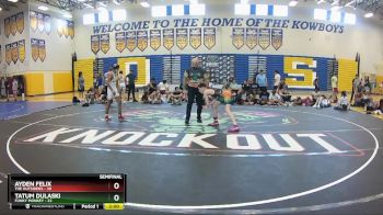 113 lbs Semis & Wb (16 Team) - Ayden Felix, The Outsiders vs Tatum Dulaski, Funky Monkey