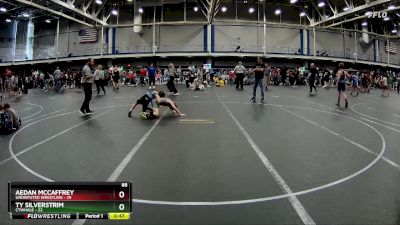 88 lbs Round 5 (10 Team) - TY Silverstrim, CTWHALE vs Aedan Mccaffrey, Undisputed Wrestling