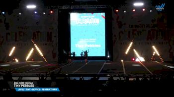 Rock Cheer Company - Tiny Pebbles [2025 L1 Tiny - Novice - Restrictions Day 1] 2025 The Varsity All Star CELEBRATION