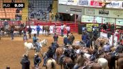 The American | Wednesday, Feb. 21 Tie-Down Roping Slack Round 2
