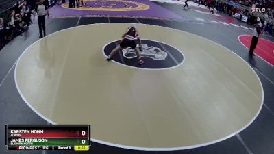 5th Place Match - Karsten Hohm, Aurora vs James Ferguson, Elkhorn North