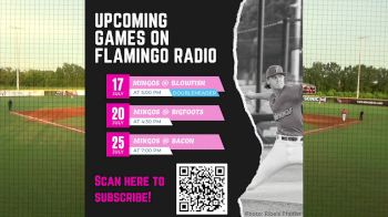 Replay: Home - 2025 Mustangs vs Flamingos | Jul 16 @ 7 PM