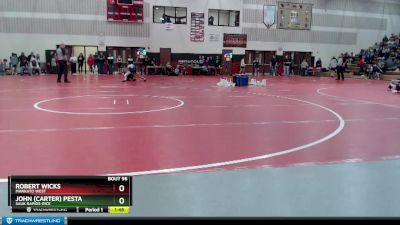 113 lbs Champ. Round 1 - Robert Wicks, Mankato West vs John (Carter) Pesta, Sauk Rapids-Rice