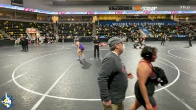 235 lbs Champ. Round 1 - Rebekah Ramirez, Lockport (Twp.) vs Joellynn Dwinal, Central DeWitt