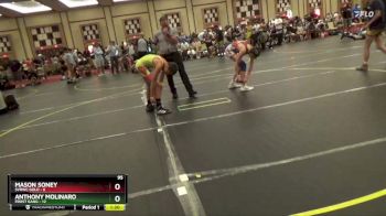 95 lbs Round 2 (6 Team) - Mason Soney, SVRWC Gold vs Anthony Molinaro, Frost Gang