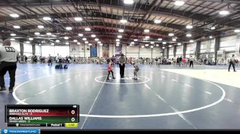 48 lbs Rd# 1 9:00am Friday - Braxton Rodriguez, Nebraska Elite vs Dallas Williams, Minion Green